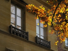 Maison de Chateaubriand, à la pose de midi - atelier du 17 novembre - © B. Runtz